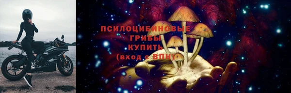 a pvp Абинск