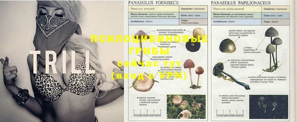 тгк Нефтегорск