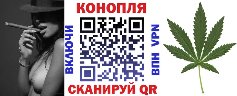 Канабис ГИДРОПОН  kraken tor  Александровск 